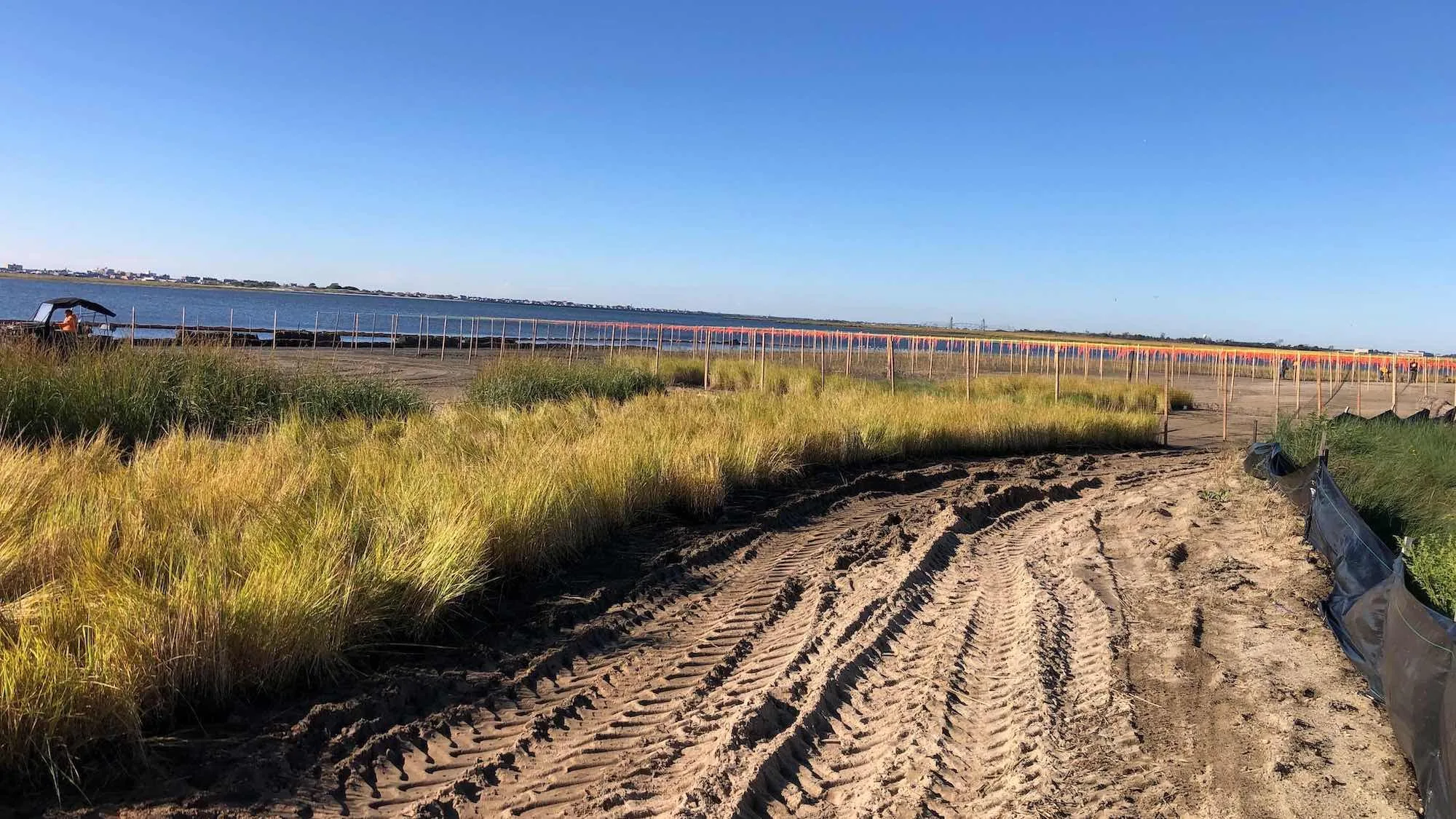 Jamaica Bay Wildlife Refuge – West Pond, photo 13