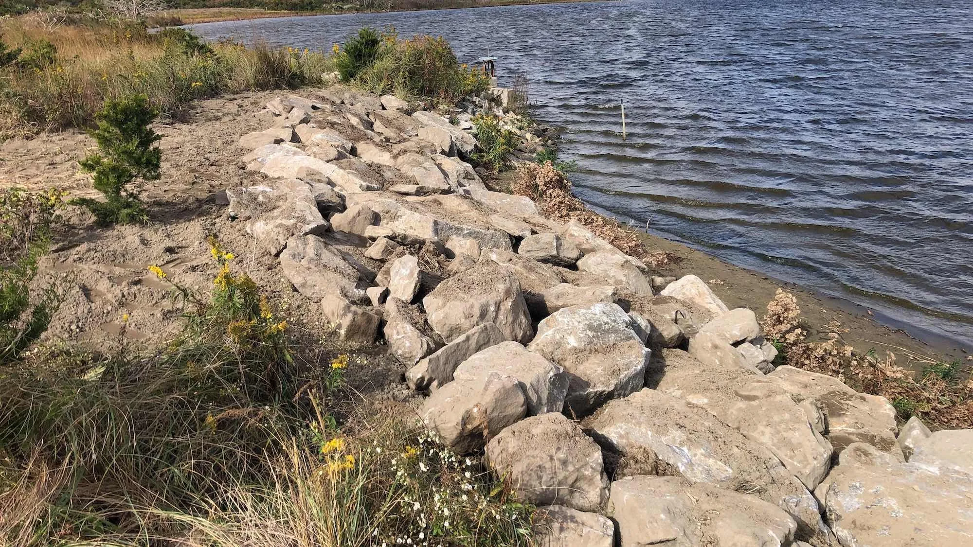 Jamaica Bay Wildlife Refuge – West Pond, photo 14