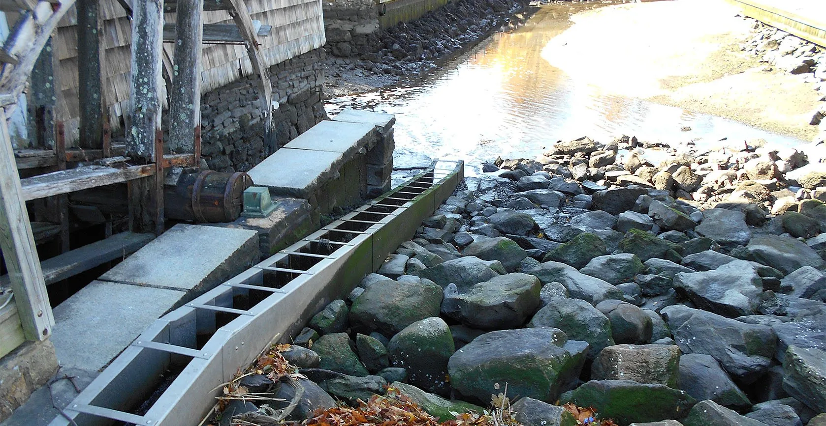 Nassau County – Udalls Pond, photo 2