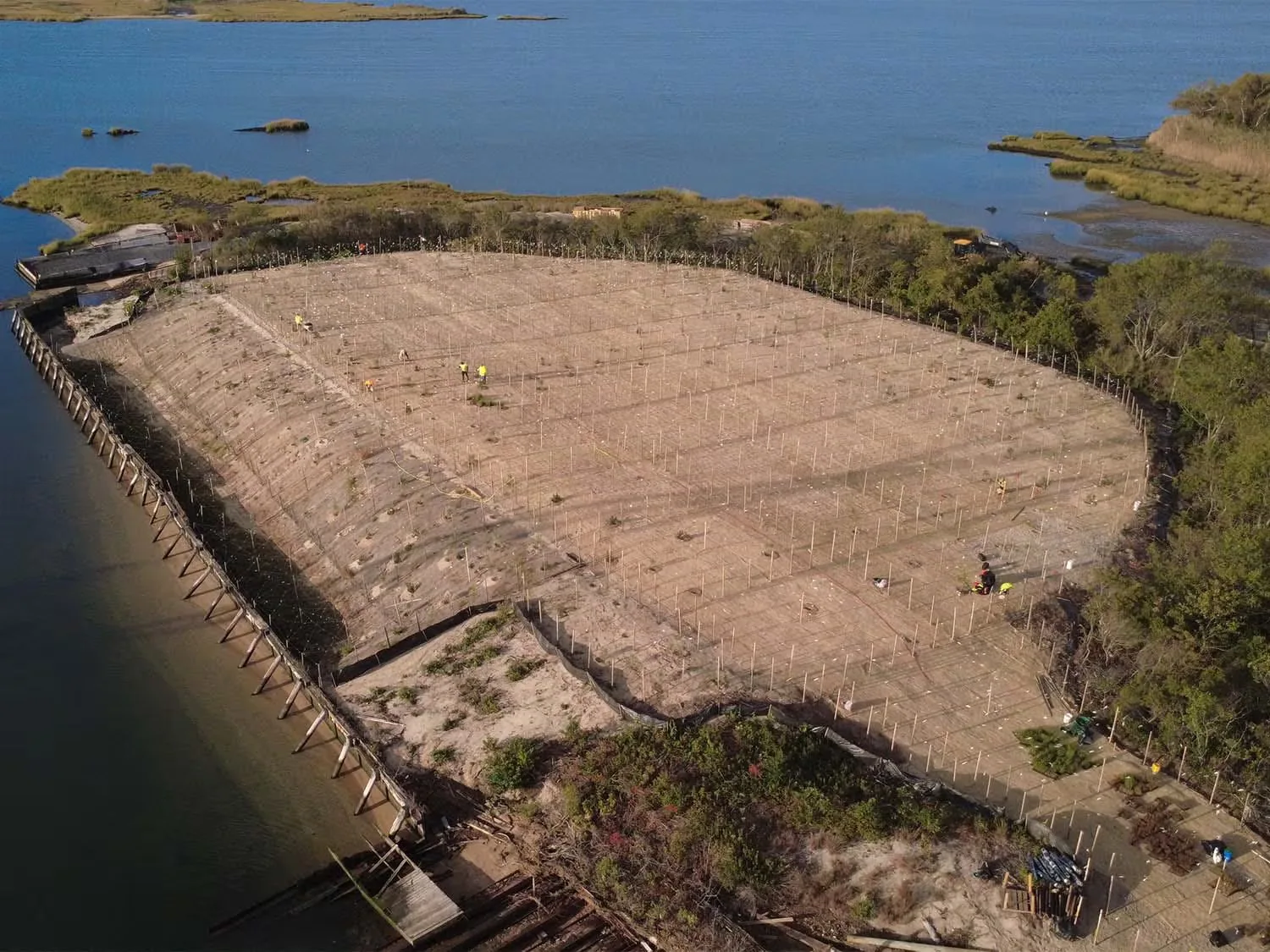 NCDPW – Hempstead Bay Hassocks Restoration, photo 6