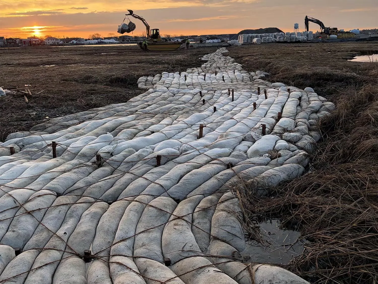 NCDPW – Hempstead Bay Hassocks Restoration, photo 10