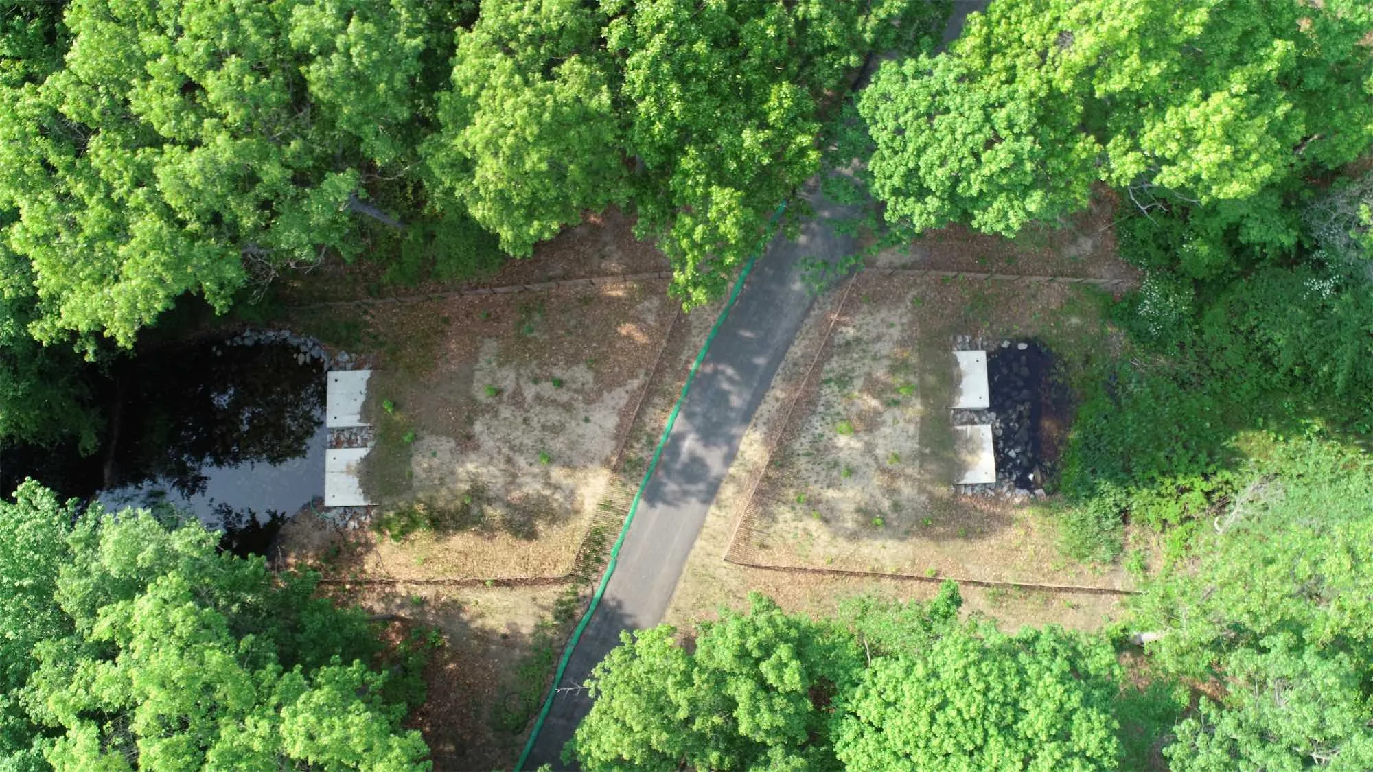 Northwest and Northeast Ponds Enhancements at Hempstead Lake State Park– Hempstead, NY, photo 3