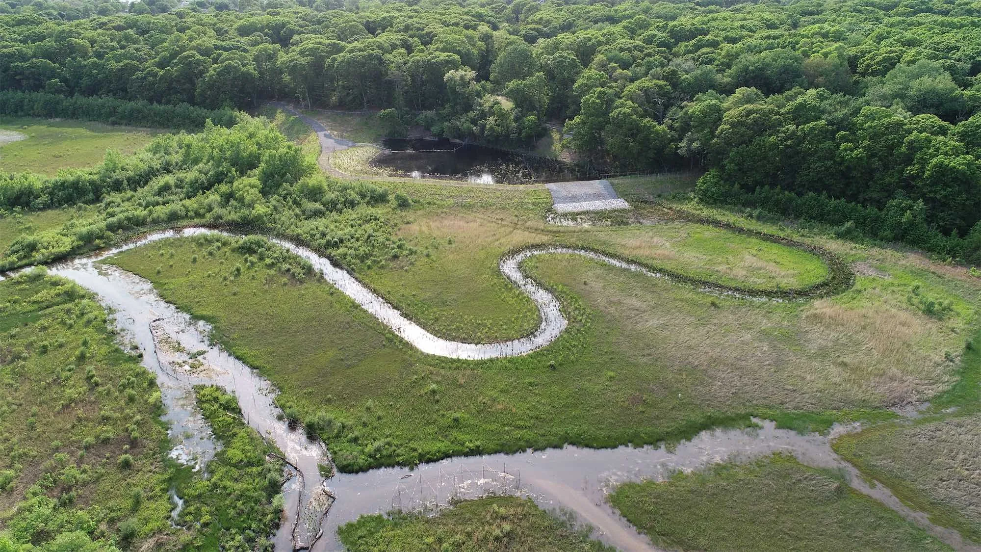 Northwest and Northeast Ponds Enhancements at Hempstead Lake State Park– Hempstead, NY, photo 5