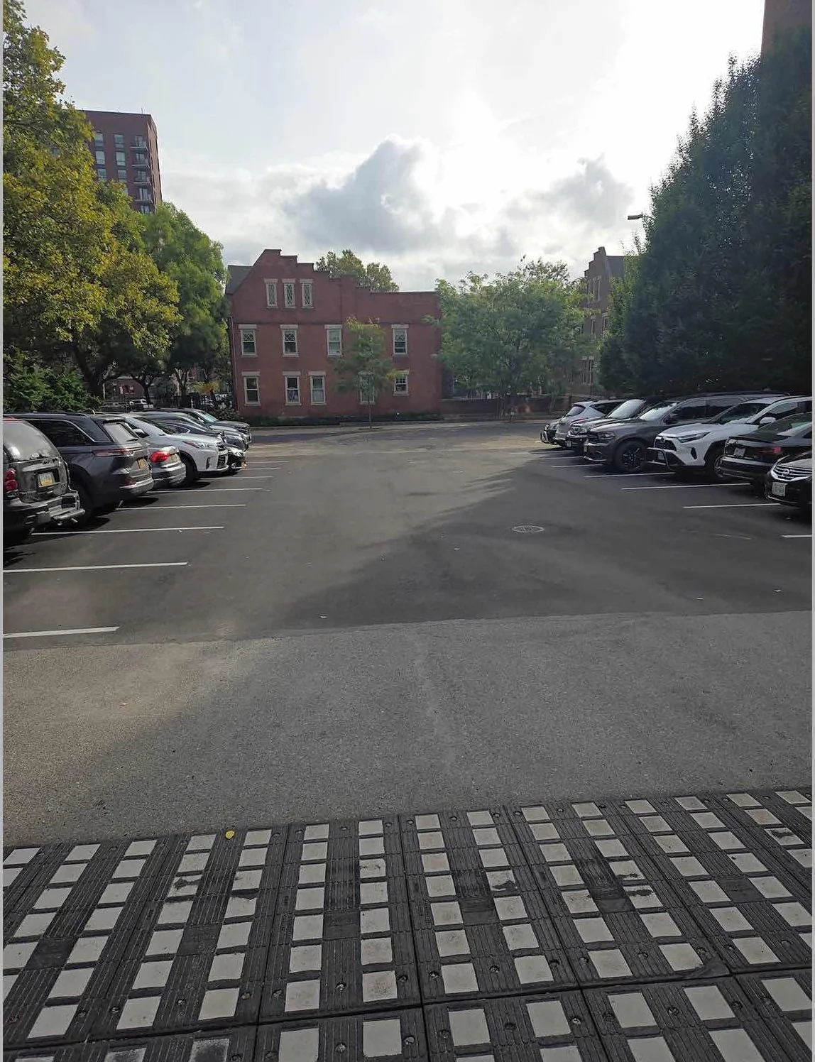 RNYCP Green Infrastructure, photo 18