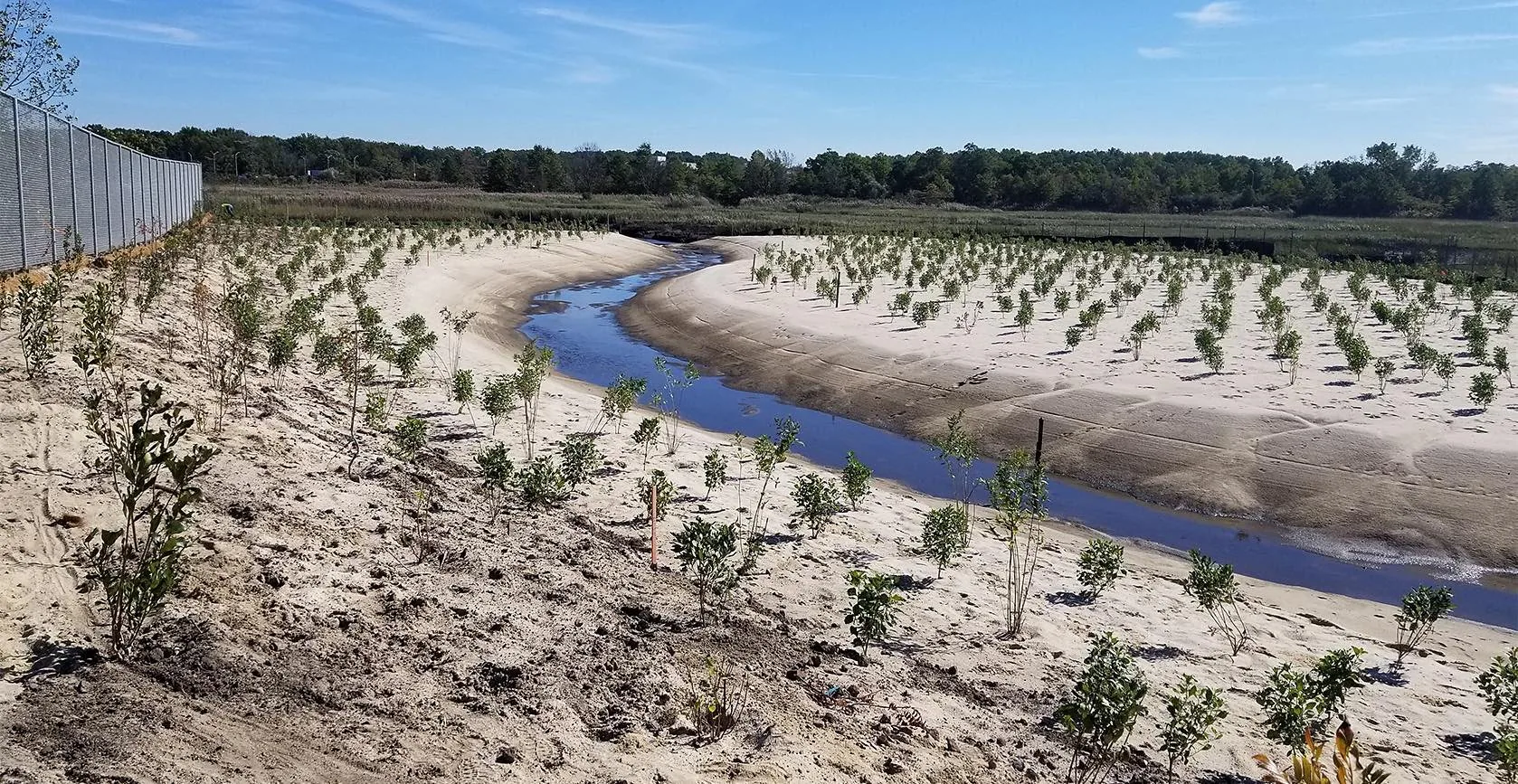 Saw Mill Creek Mitigation Bank project, built by Galvin Brothers