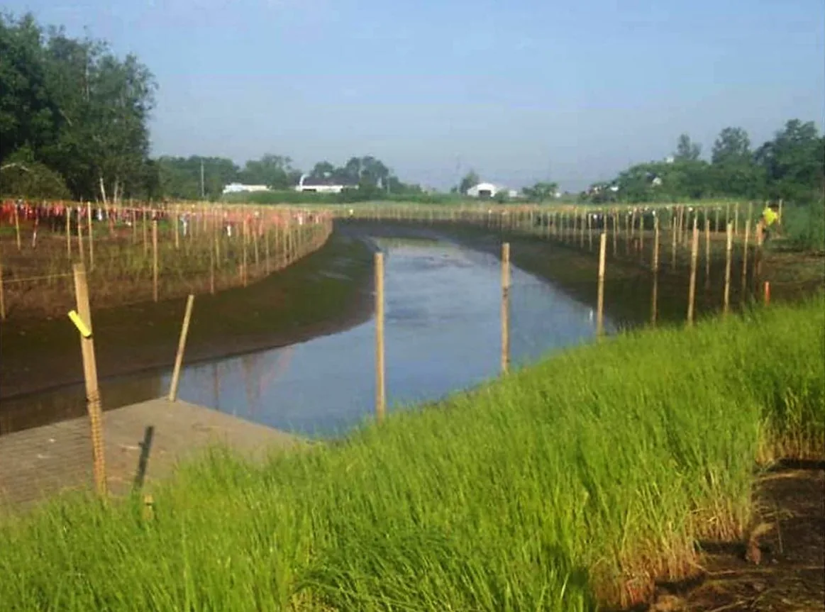 Saw Mill Creek Mitigation Bank project, photo 2