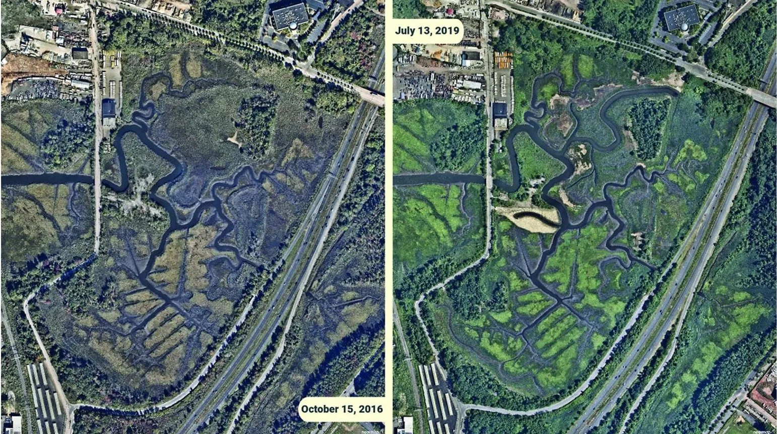 Saw Mill Creek Mitigation Bank project, photo 6
