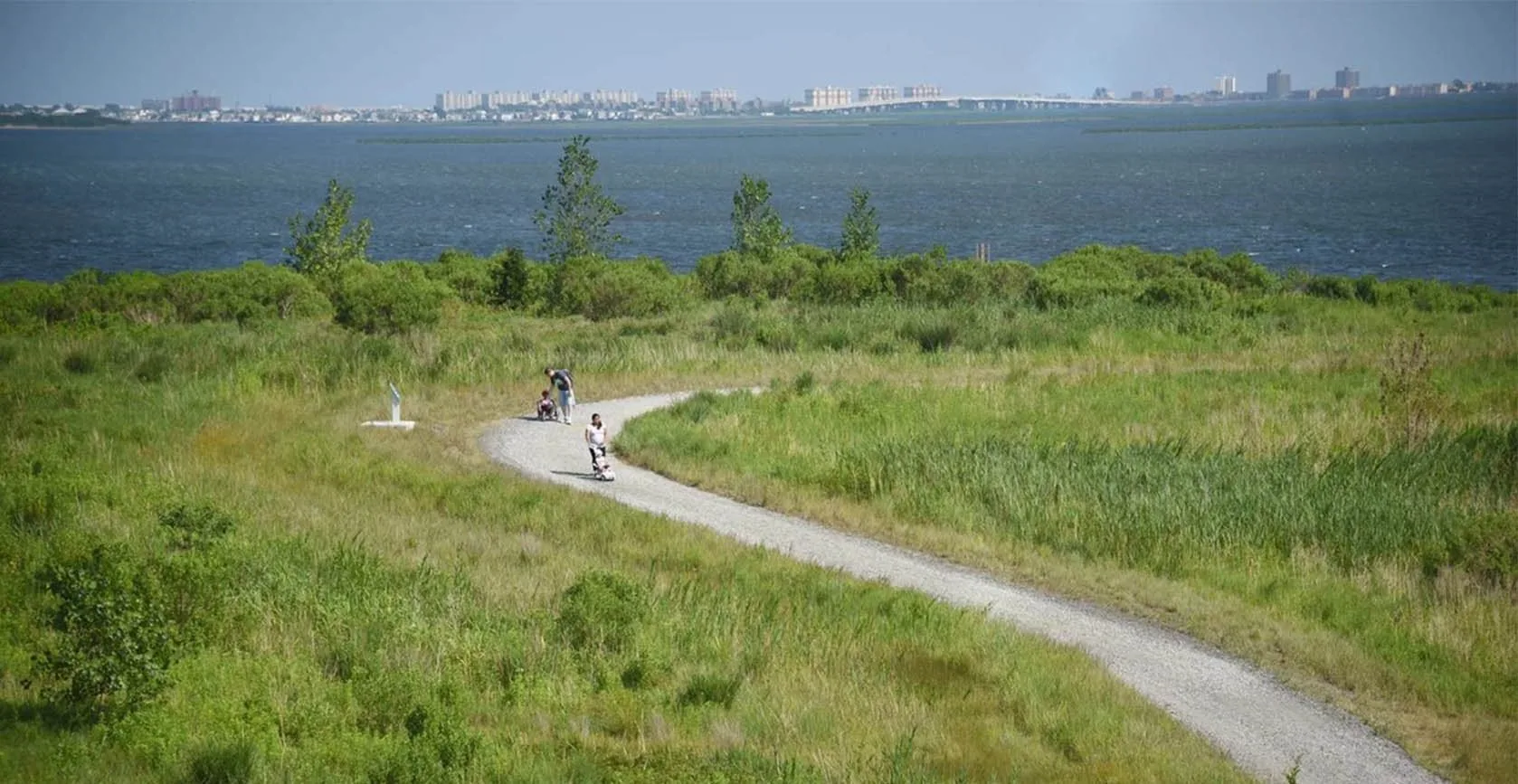 Shirley Chisholm State Park in Brooklyn, NY, photo 7