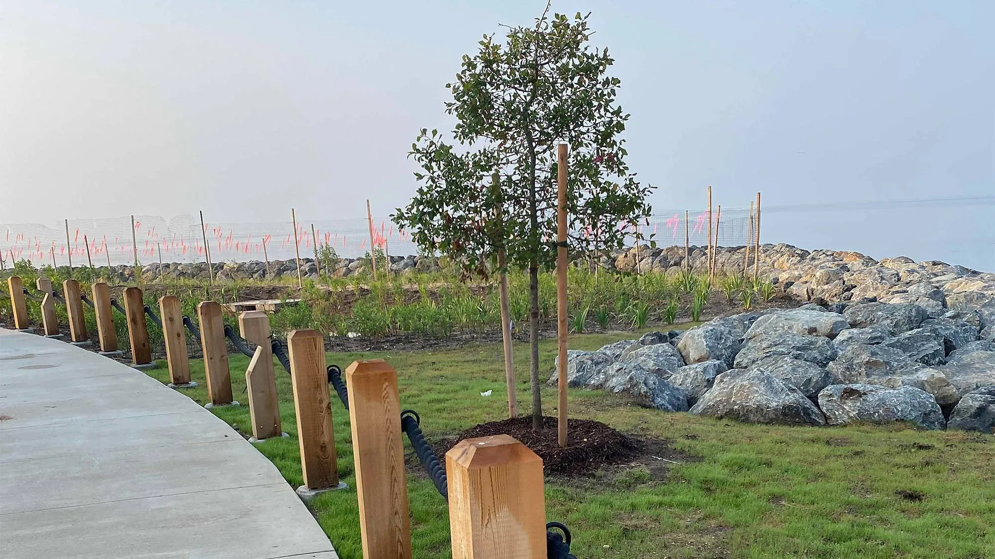 Shorefront Park Living Shoreline and Little Creek Restoration, photo 7