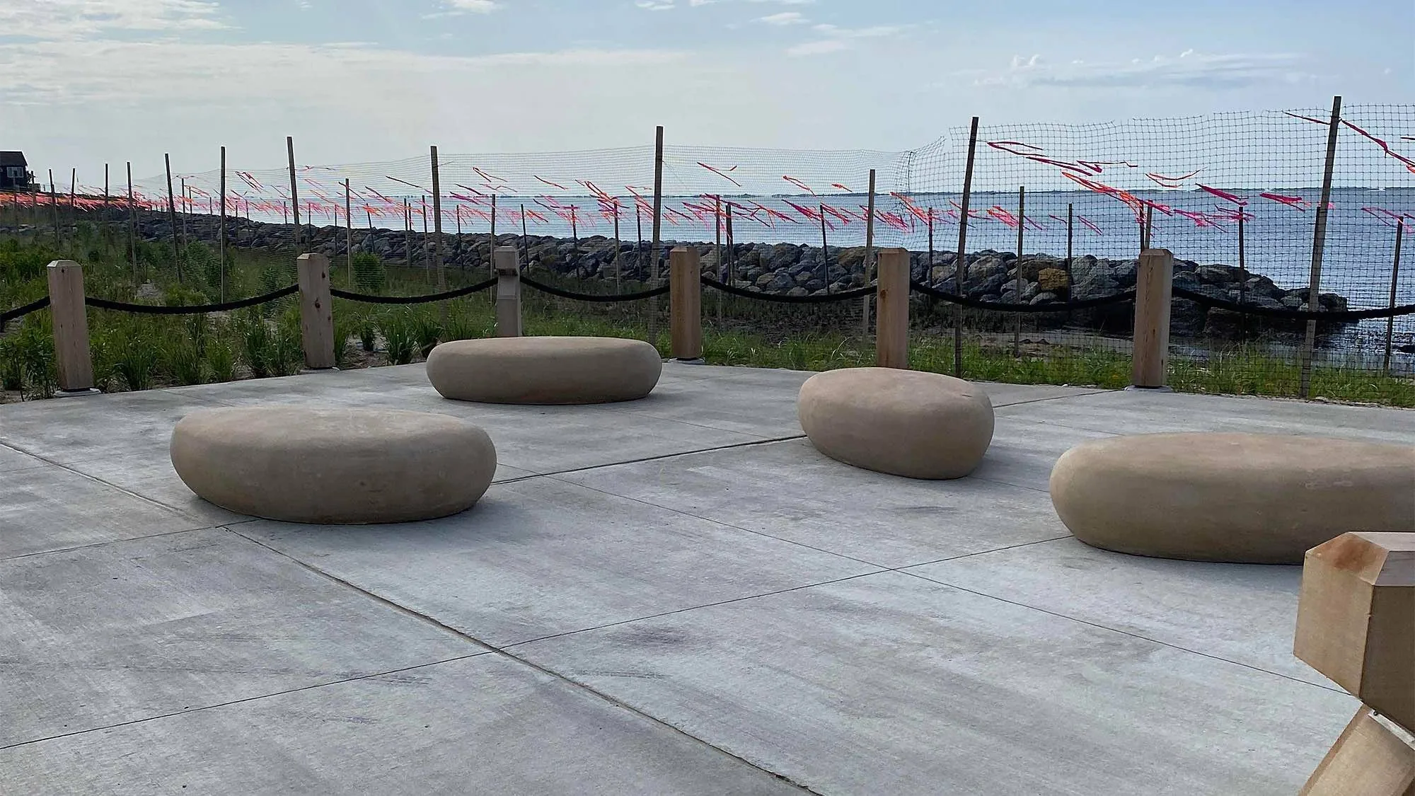 Shorefront Park Living Shoreline and Little Creek Restoration, photo 8