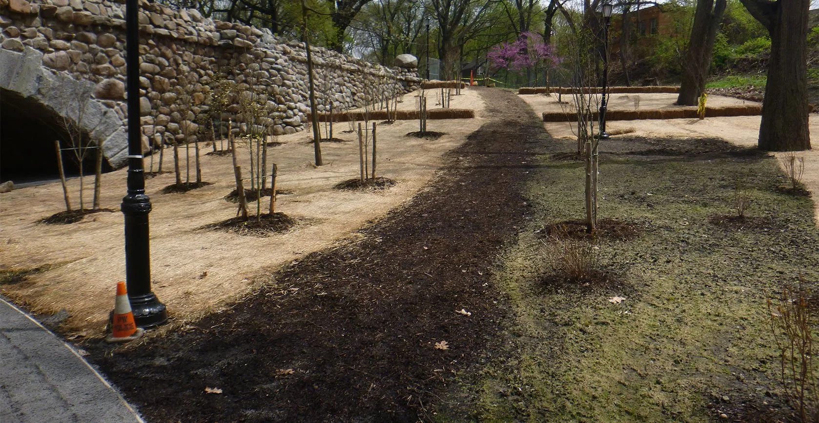 The Reconstruction of Highland Park Pedestrian Bridge, photo 6