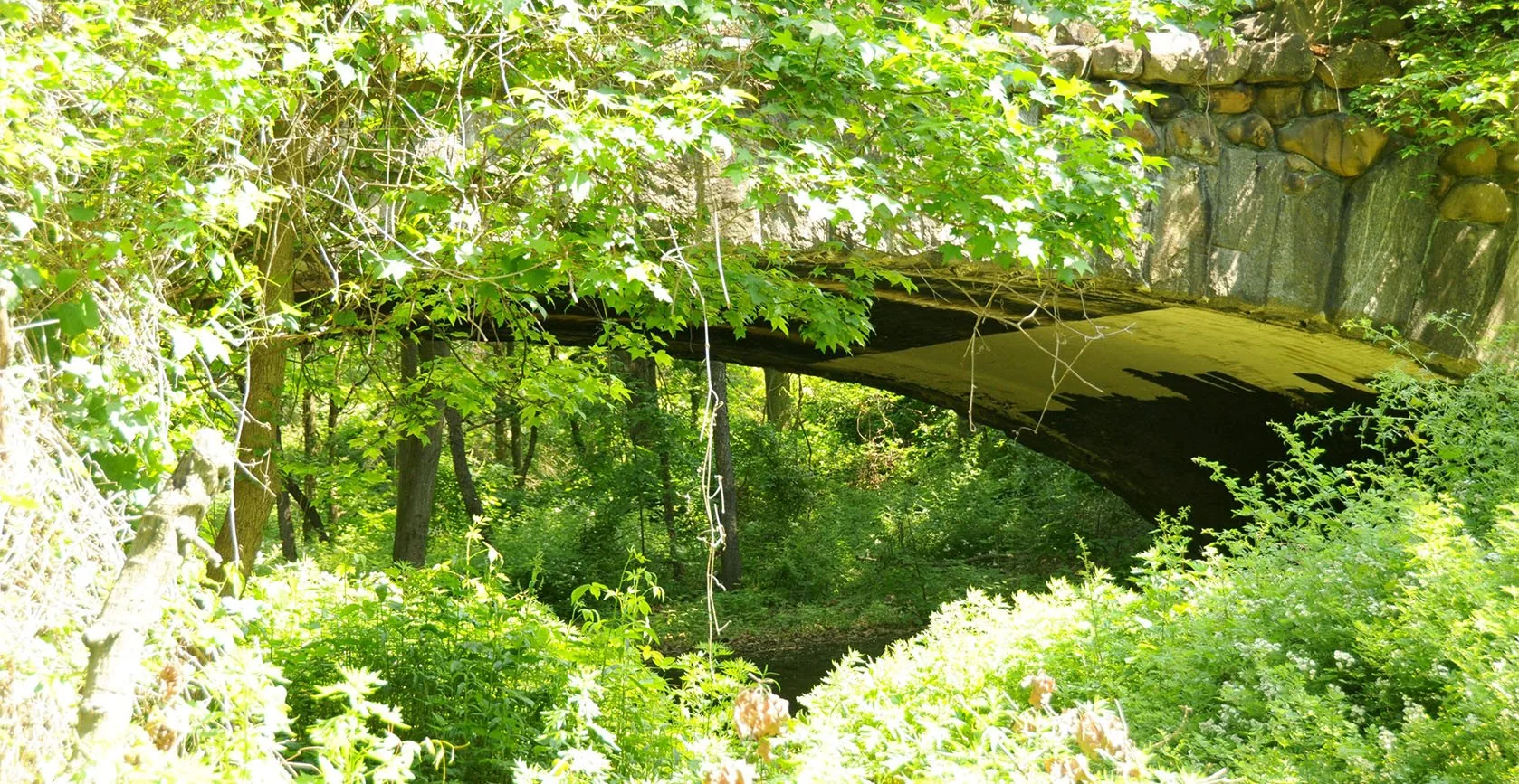 The Reconstruction of Highland Park Pedestrian Bridge, photo 16
