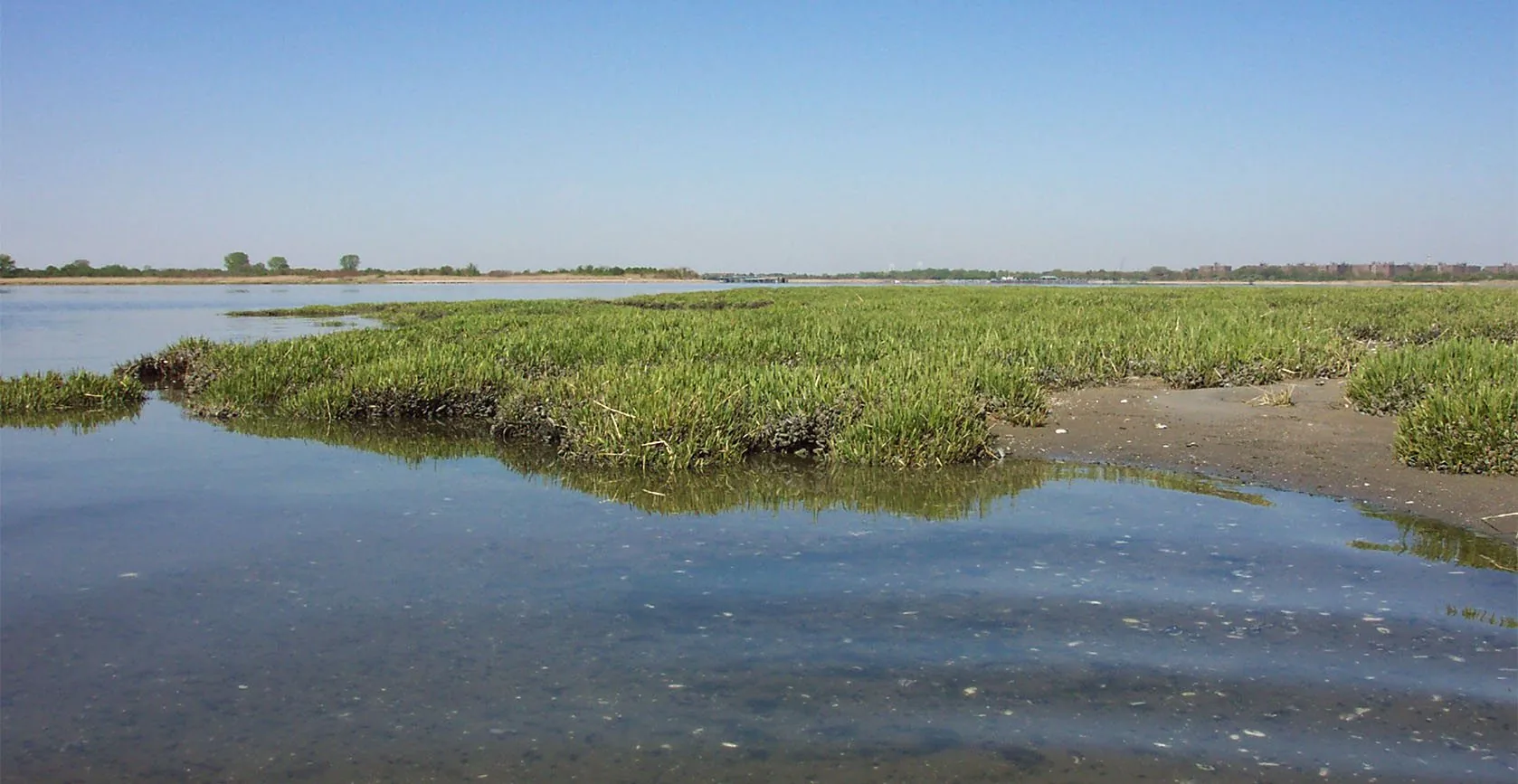The United States Army Corps of Engineers – Elders Point Salt Marsh Mitigation, photo 11