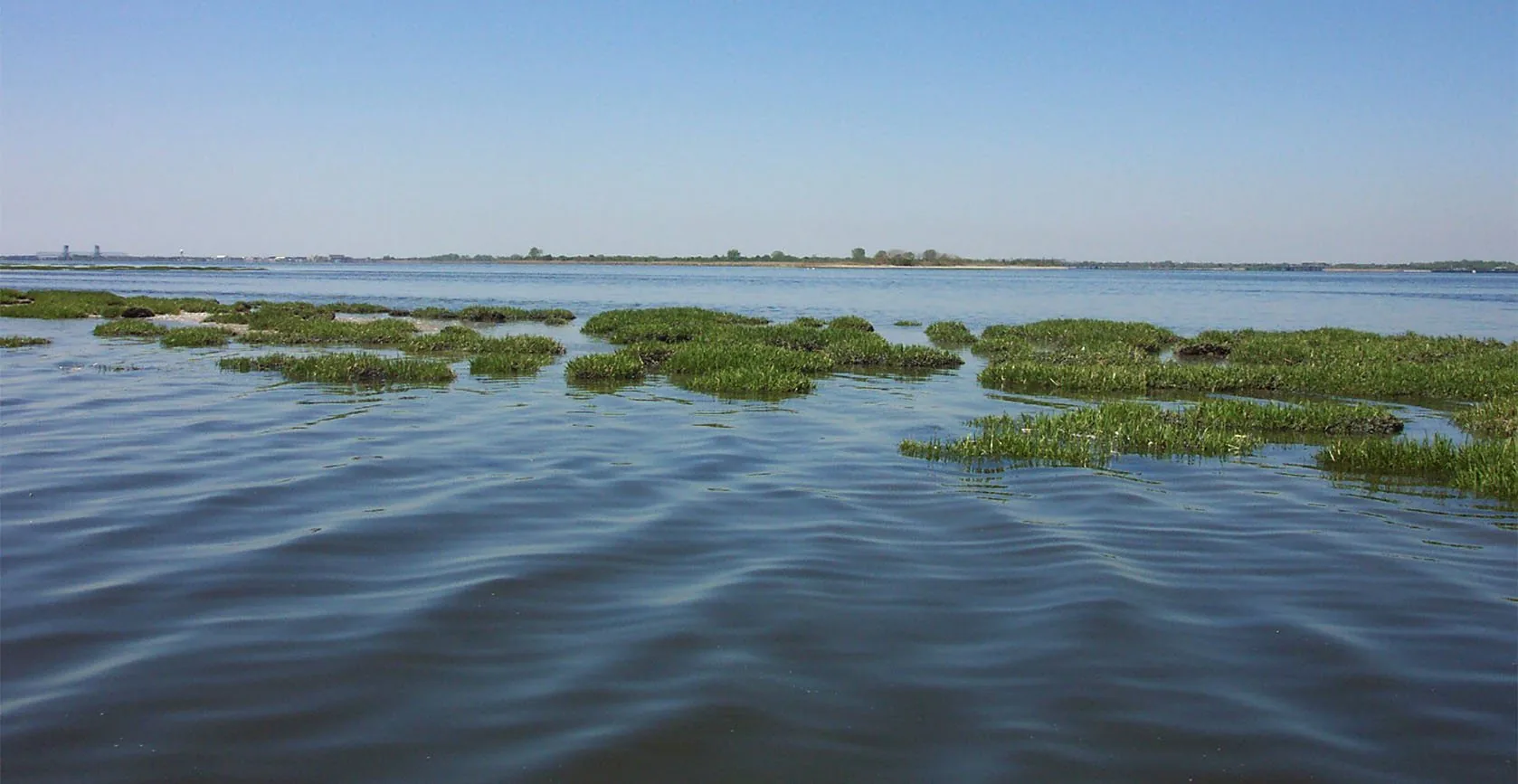The United States Army Corps of Engineers – Elders Point Salt Marsh Mitigation, photo 15