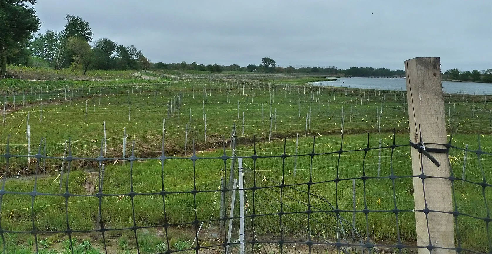 The United States Army Corps of Engineers – Gerritsen Creek Restoration – Brooklyn, NY, built by Galvin Brothers