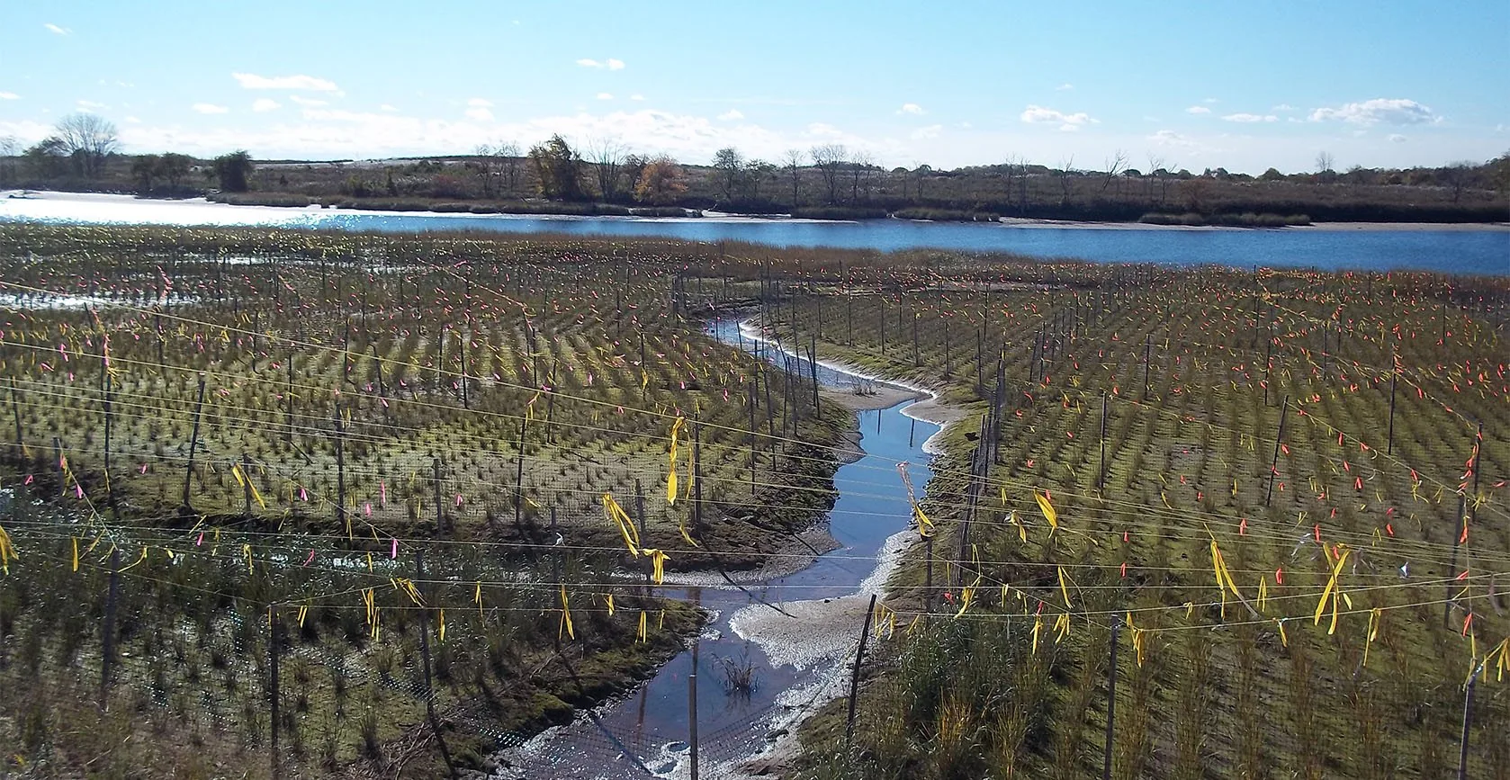 The United States Army Corps of Engineers – Gerritsen Creek Restoration – Brooklyn, NY, photo 6