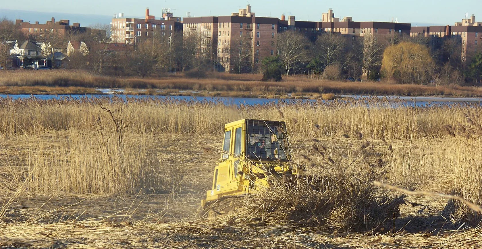The United States Army Corps of Engineers – Gerritsen Creek Restoration – Brooklyn, NY, photo 8