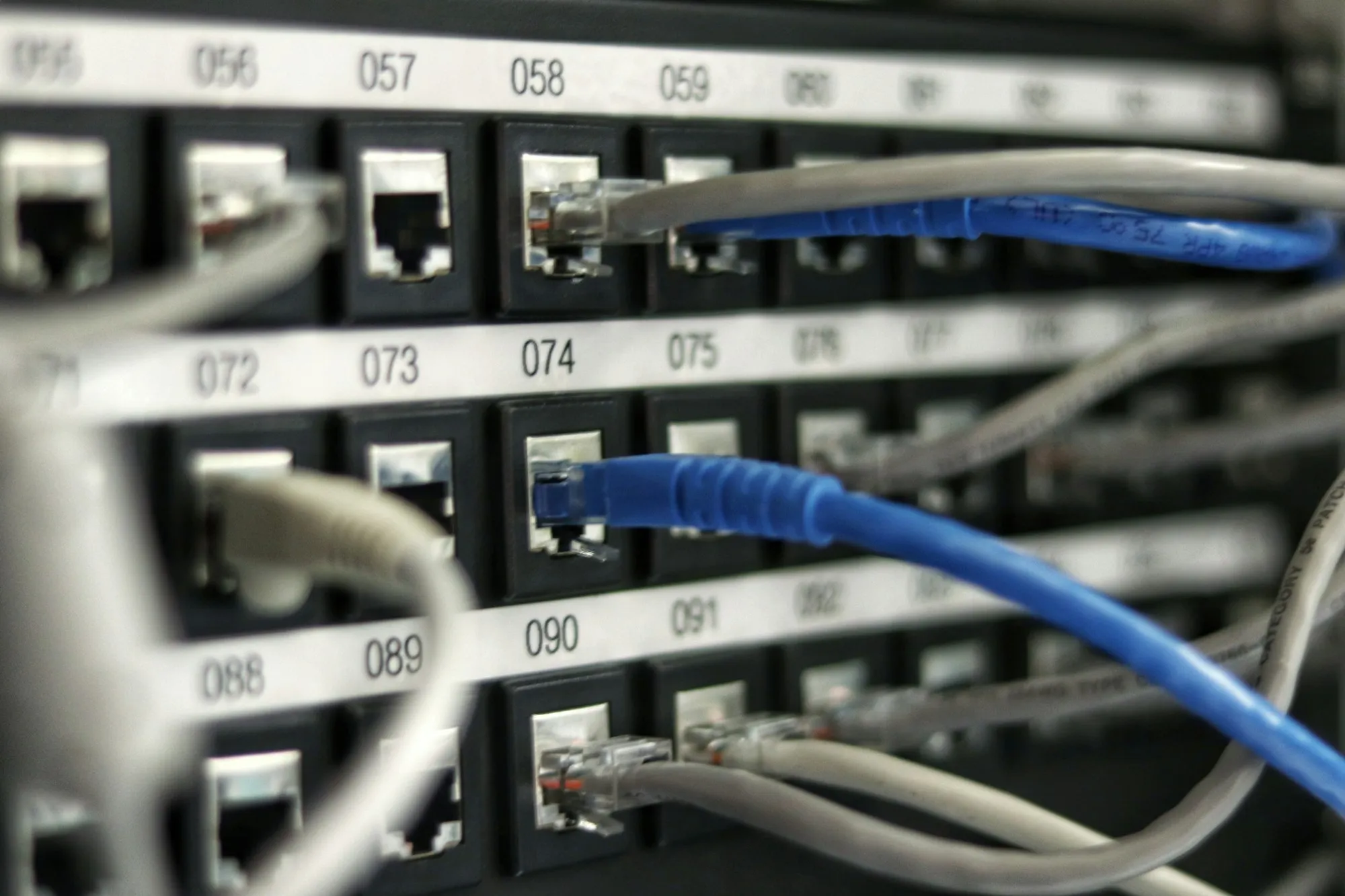 Labeled patch panel with network cabling