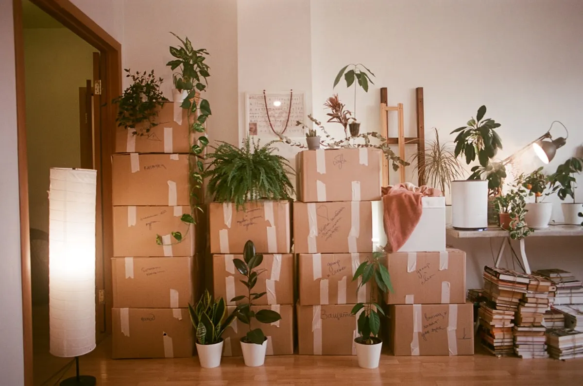 IT team preparing an office relocation and infrastructure move
