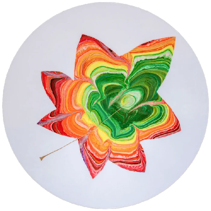 Rainbow Of Fall Foliage