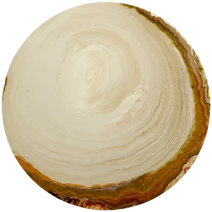 Tree Rings 2